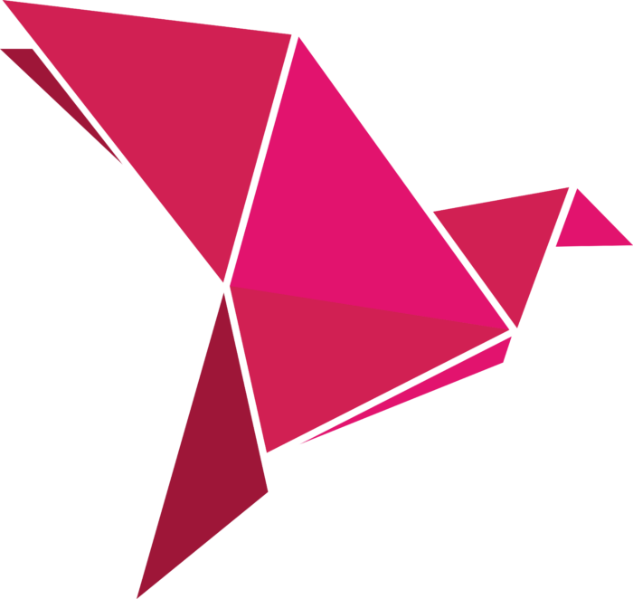 bKash logo